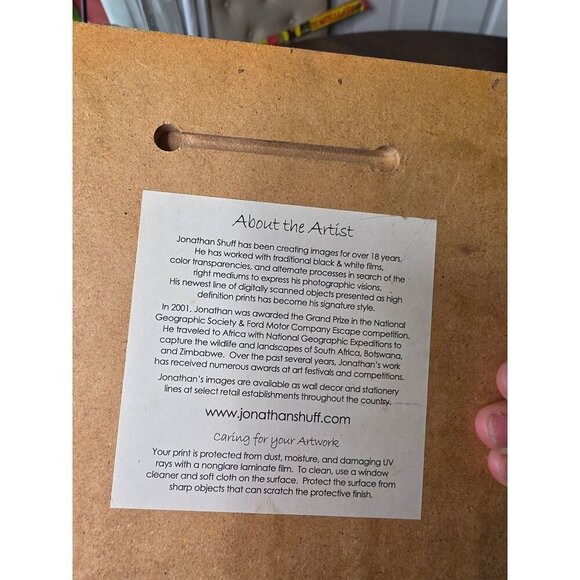 Shell Printed Picture- Jonathan Shuff Photography. Print On Wood 8 x 8 - Picture 5 of 11